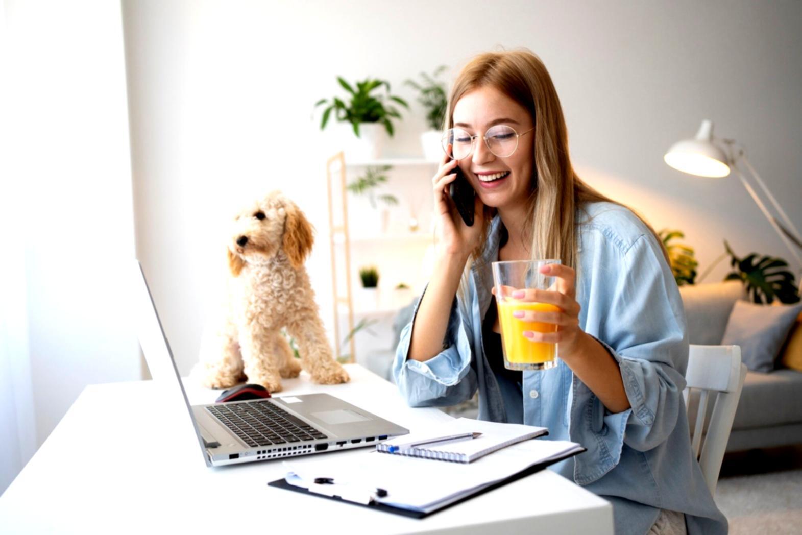 Detaillierte Solvenzanalyse mit Kennzahlen